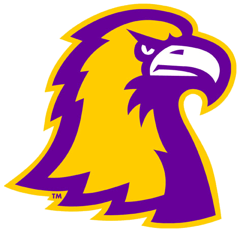 Tennessee Tech Golden Eagles 2006-Pres Alternate Logo v4 iron on transfers for T-shirts
